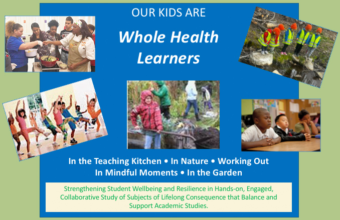 Adding Whole Health Learning to a School’s Culture: A Getting Started Guide
